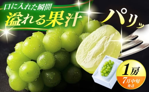 【期間限定】 日田産シャインマスカット1房(約500g)　日田市 / 南国フルーツ株式会社 ブドウ 葡萄 ぶどう しゃいんますかっと 果物 [ARET001]