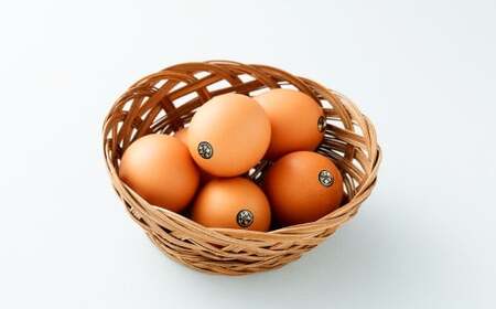 熊本県天草市で生まれたブランド卵「天草タマンゴ」6個入 化粧箱入 卵 たまご タマゴ 生卵 生たまご 卵黄 卵 熊本県 天草市 