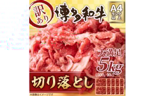 訳アリ!＜A4～A5＞博多和牛切り落とし　5kg(500g×10パック)_ 訳あり ワケアリ わけあり 肉 牛肉 和牛 切り落し 切り落とし 黒毛和牛 博多和牛 小分け ブランド牛 国産牛 国産 不揃い 冷凍 A4 A5 500g 規格外 【1370647】