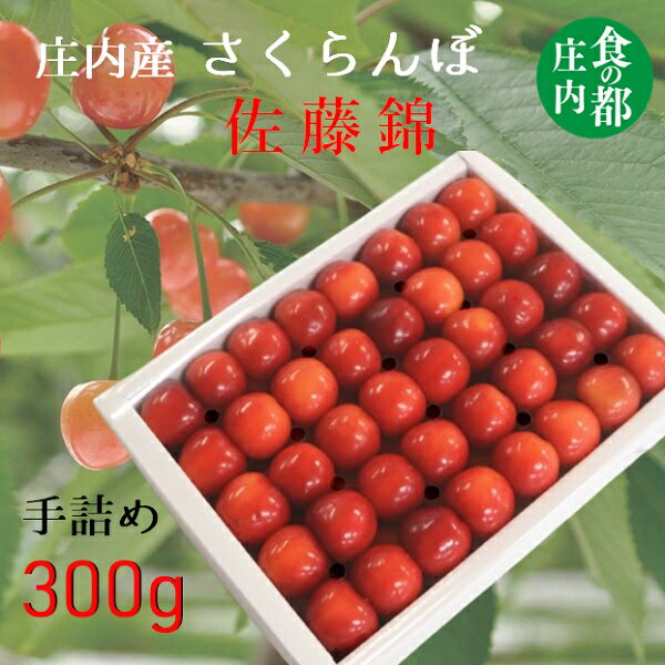 【ふるさと納税】【令和8年産】食の都庄内　庄内のさくらんぼ「佐藤錦」手詰め約300g　※令和8年6月中旬～下旬頃発送予定（有限会社庄内旬青果）