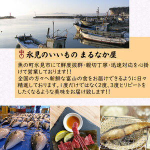 【３ヶ月定期便】美味の町・富山からお届けする！いいもの厳選３ヶ月コース 富山県 氷見市 定期便 魚 肉 惣菜 加工品 セット