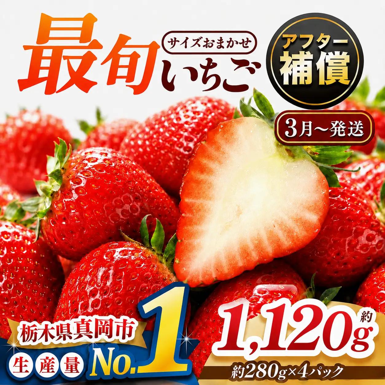 【先行予約受付中】【2027年3月発送】大人気！ 最旬とちあいか 約1120g 4パック いちご