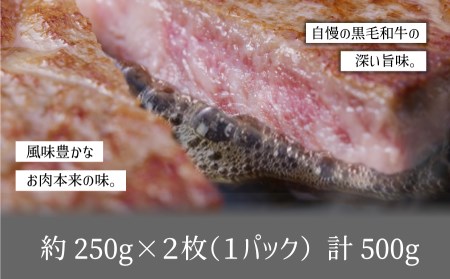 黒毛和牛・サーロイン500g【熊本県畜産農業協同組合】