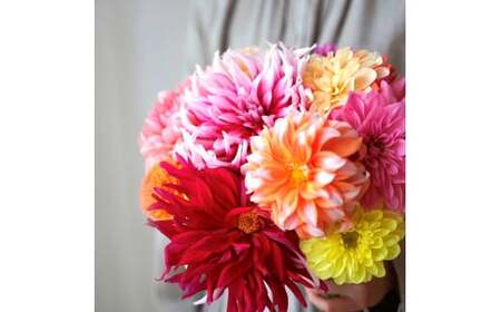 《12ヵ月定期便》 ダリア 花束 初回花瓶付 定期便 定期コース 全12回 延命剤付き ラッピング 花びん 生花 花束 ブーケ 花 お花 おすすめ 可愛い キレイ おしゃれ 自宅 職場 ギフト