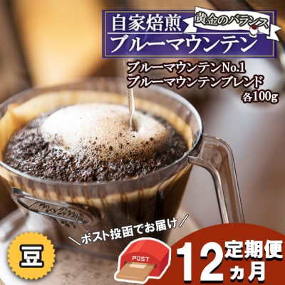 コーヒー 定期便12ヶ月 ブルーマウンテンNO.1&ブレンド各100g 豆[No5354-0434]