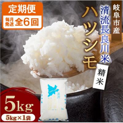 ふるさと納税 岐阜市 【毎月定期便】岐阜市産 ハツシモ 清流長良川米  精米 5kg 全6回