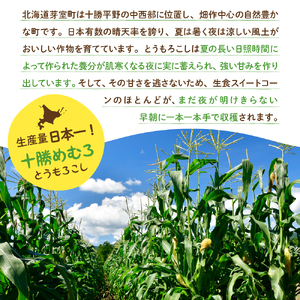 【2025年分先行予約】北海道十勝芽室町 とうもろこし 10本 ホワイト種 とうもろこし トウモロコシ 北海道 十勝 芽室町 生 野菜 人気 キャンプ飯 BBQ ソロキャン お取り寄せ me002-0