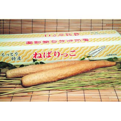 ふるさと納税 北栄町 【2026年お歳暮のし付　先行予約】ねばりっこ　秀3L×4本　2026年11月中旬頃から順次発送予定