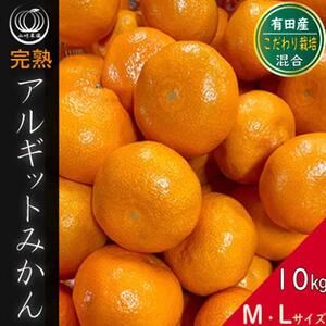 完熟 アルギット みかん 10kg M ～ Lサイズ | 年内発送 可 先行予約 みかん 有田みかん 甘い おいしい ジューシー 皮 薄い 完熟 期間限定 フルーツ 果物 人気 おすすめ 高級 こだわり ギフト 旬 お取り寄せ 送料無料 和歌山 コスパ