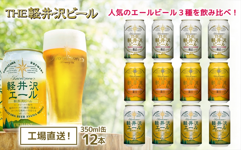 【3ヶ月定期便】【THE軽井沢ビール】クラフトビール350ml　3種12缶　飲み比べ　詰合せ