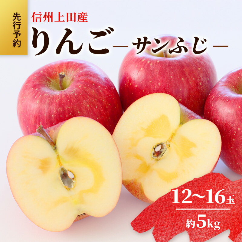 【ふるさと納税】りんご 信州上田産 サンふじ 家庭用 約5kg 12～16玉 リンゴ 林檎 5kg サンフジ 果物 くだもの フルーツ デザート 旬の果物 旬のフルーツ 傷 長野県 長野 上田市　お届け：2025年12月上旬～中旬