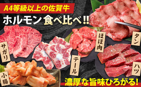 【全6回定期便】佐賀牛6種食べ比べ！ ホルモンバラエティセット 10.8kg 4-5人前  タン・小腸など 吉野ヶ里町/やきとり紋次郎[FCJ105]