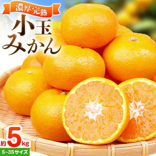 【ふるさと納税】＜先行予約＞みかん 紀州有田産 濃厚完熟 小玉みかん 約5kg S～3Sサイズ 魚鶴商店《2025年11月下旬-2026年2月上旬頃より出荷》 和歌山県 日高町 みかん 小玉みかん 完熟 濃厚 柑橘 小玉 小さい