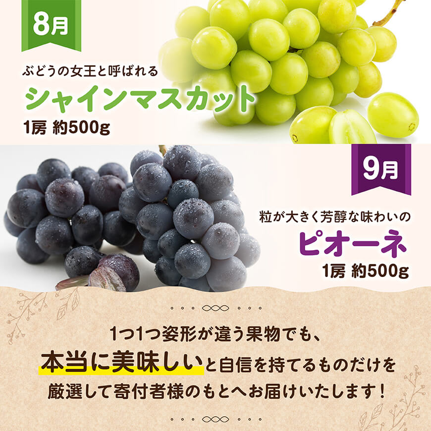 【全6回定期便】【いいとこどり】大人気くだもの定期便　川南町産フルーツくだものいちごフルーツくだもの完熟マンゴーフルーツ果物ぶどうフルーツ果物ビオーネフルーツシャインフルーツマスカットフルーツ[D11
