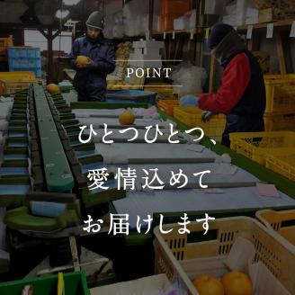 鳥取県南部町産　井田農園の新興[梨]　（3kg箱）＜10月～出荷開始＞