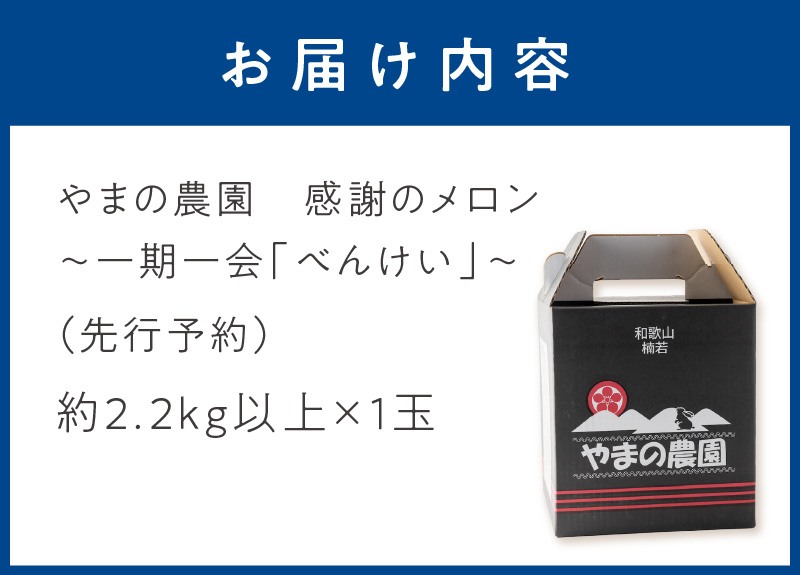【0926-3】やまの農園　感謝のメロン～一期一会「べんけい」～（先行予約2025年7月中旬より順次発送予定）