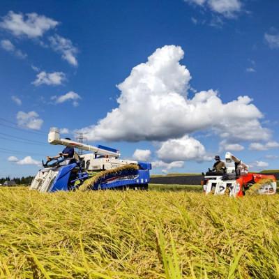 ふるさと納税 十日町市 【2ヵ月毎定期便】農家直送!魚沼産コシヒカリ特別栽培 玄米(10kg×1袋)全6回 |  | 01