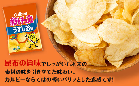 【定期便5カ月】カルビーポテトチップス 2種セット うすしお・のりしお 各8袋 《千歳工場製造》
