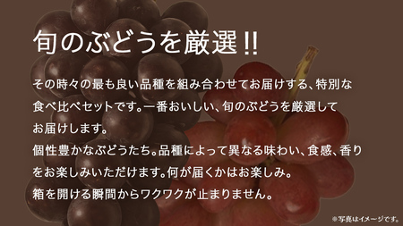 旬な ぶどう 食べ比べ 700g × ２房【2026年8月上旬発送開始】(茨城県共通返礼品：大子町)