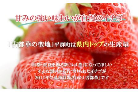 平群の古都華 冷凍いちご ミックスサイズ 1kg | フルーツ 果物 くだもの いちご 苺 イチゴ 古都華 ことか 冷凍 ミックス スムージー  奈良県 平群町 扇田農園