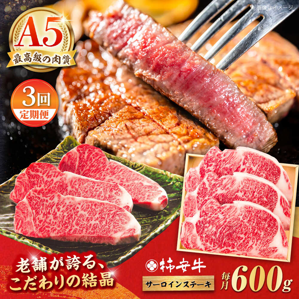 【ふるさと納税】【3回定期便】サーロインステーキ 600g 最高級A5等級 三重県産 黒毛和牛 柿安牛 / 高級肉 ギフト ステーキ サーロイン 牛肉 冷蔵 / 亀山市 / 柿安本店 [AMBW024]
