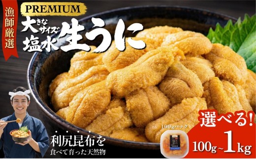 
                  【2026年発送受付】漁師厳選！利尻天然うに”プレミアム”ムラサキウニ 選べる100g～1kg（1パック100g）【2026年6～8月発送分】｜北海道 朝獲れ 塩水 ウニ 無添加 ミョウバン不使用 生 うに 雲丹 国産 天然 利尻 キタムラサキ ムラサキ
                