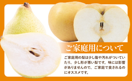 【先行予約】あたご梨2～3玉 ヤーリー3～7玉家庭用詰め合わせ4kg箱 石原果樹園 《11月中旬-12月下旬頃より発送予定》岡山県 浅口市 梨 なし 果物 フルーツ くだもの あたご 訳あり