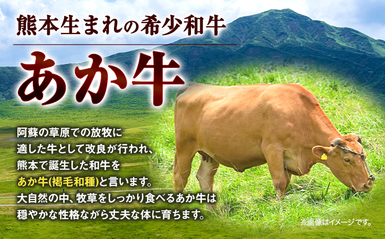 【3ヶ月定期便】あか牛 焼肉用カット 500g×3回 計1.5kg 五右衛門フーズ 《お申込み翌月から出荷》 熊本県 菊池市 牛肉 肉 国産 熊本県産 ブランド牛 絶品 贅沢 高級 焼肉