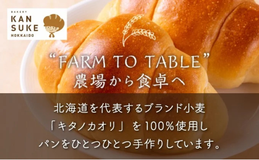 【定期便・全3回】【まずはお試し！】キタノカオリのフルコースお試しパンセット (計10個) 1セット×3回 ｜ベーカリーカンスケ プレミアム小麦キタノカオリ100％ パン ぱん 食パン パン屋 自家製