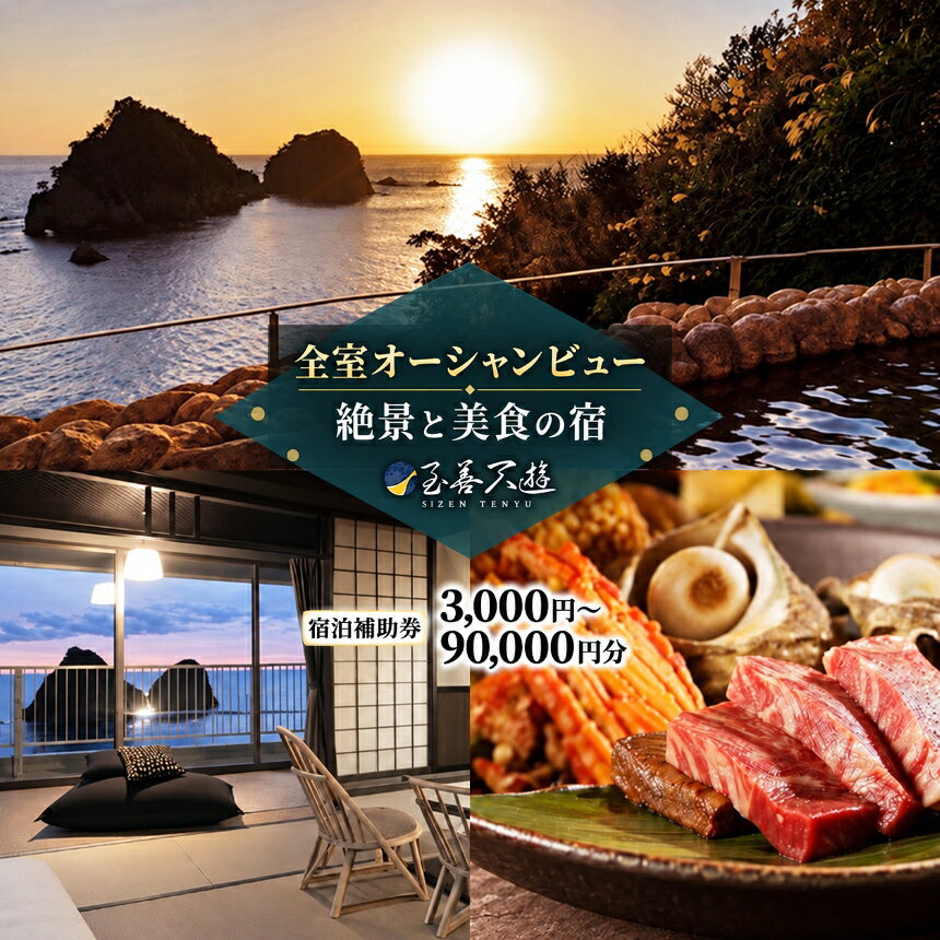 【ふるさと納税】至善天遊「 宿泊補助券 」 宿泊 宿泊券 ホテル 旅館 温泉 旅行 旅行券 観光 トラベル チケット