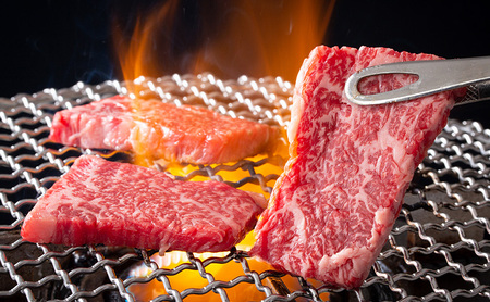 牛肉 神戸牛 希少部位 焼肉セット 5種 牛肉