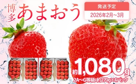 【2026年2月～3月順次発送】あまおう 合計約1,080g 約270g×4パック