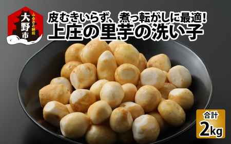 皮むきいらず、煮っ転がしに最適！上庄の里芋の洗い子【冷凍】500g × 4　計2kg