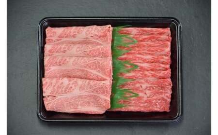 Y861 【12か月定期便】鳥取和牛ロースと赤身すき焼きしゃぶしゃぶ用600g