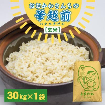 ふるさと納税 坂井市 おおかわさんちの華越前 玄米 30kg [F-10804]