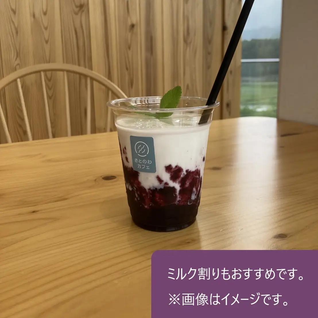 ブルーベリーソース＊１０５ｇ × ４瓶