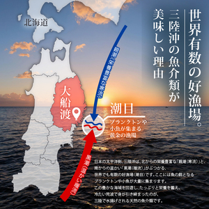 さんますり身 1kg 冷凍 さんま