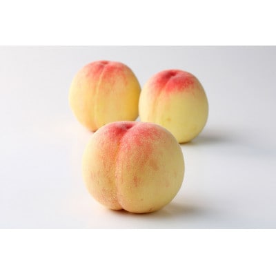 2026年 岡山白桃(晩生)ロイヤル【1箱3玉】【配送不可地域：離島】【1641751】