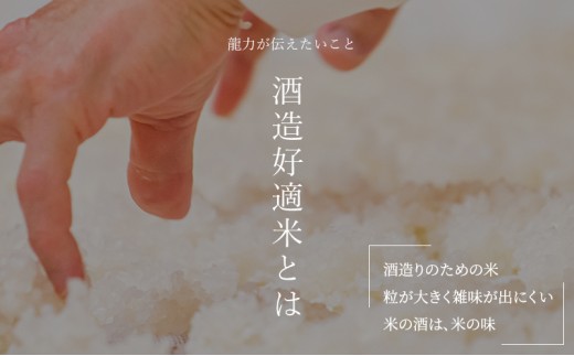 日本酒 特別純米 龍力 姫路城 クリアケース入り 720ml 四合瓶 本田商店 地酒 清酒 お酒 ギフト プレゼント お歳暮 家飲み 晩酌 兵庫県 姫路市