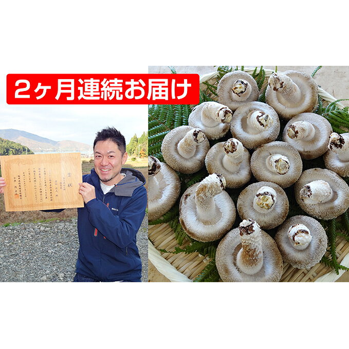 【ふるさと納税】【2ヶ月連続】菌床による、生シイタケで「おーい菌床しいたけ」1kg×2ヶ月 野菜 きのこ 茸 キノコ 椎茸