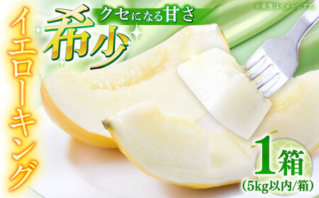 【2026年5月-発送】メロン イエローキング 1箱 5kg以内（3〜6玉） / メロン めろん フルーツ 果物 / 南島原市 / 南島原果物屋[SCV039]