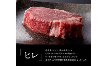 【訳あり】黒毛和牛 ステーキセット -  肉 牛肉 国産牛肉 牛 黒毛和牛 牛 宮崎県産牛肉 牛 牛肉 ヒレ ロース ステーキセット 訳あり 牛 牛肉 送料無料牛肉