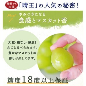 岡山県産 シャインマスカット『晴王』2房(1房480g以上) 化粧箱入り【配送不可地域：離島・北海道・沖縄県】【1499104】