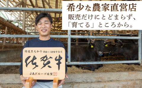 【全6回定期便】佐賀牛 サーロイン ステーキ 600g（300g×2枚）【山下牛舎】 [HAD067]