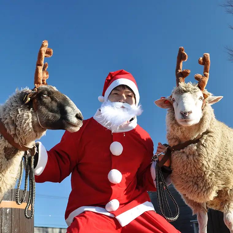 マザー牧場　クリスマストレイルラン招待（チームリレー４名分）