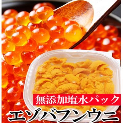ふるさと納税 根室市 エゾバフンウニ塩水パック1P、いくら醤油漬(鱒卵)1P[2027年1月中旬以降発送] D-40050