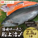 【ふるさと納税】【2025年6月中旬発送】海峡サーモン船上活〆2.5kg1本(冷蔵)　むつ市 サーモン 刺身 【配送不可地域：離島】【1153617】