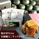 【ふるさと納税】塩かぼちゃの甘納糖ミニチュアBOX（ABE　FARM）