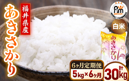 【新米】令和7年産 米 定期便6ヶ月 あきさかり 精米 5kg × 6回（計30kg）福井県産【白米 5キロ 30キロ アキサカリ お米 ごはん 人気品種 産地直送 新生活 kome】 [e66-i001]