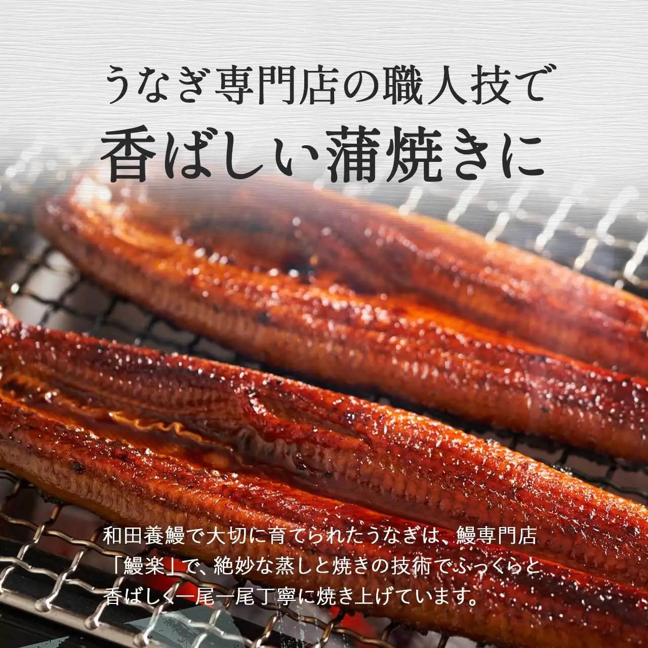 ふるさと納税限定　鹿児島県 大崎町産 国産 うなぎ 長蒲焼 2尾 計320g以上 | 鰻 うなぎ うな重 ひつまぶし ウナギ 人気 おすすめ 大隅半島 DU001